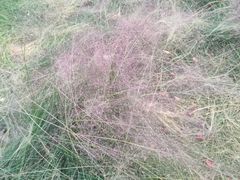 -上海浦江郊野公园-5号停车场