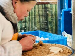 -笑云开汤包店(网巾市店)