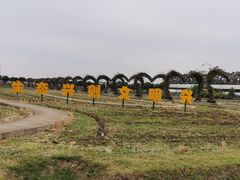 -迪茵湖田家舍生态农场