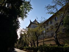 -武汉大学-樱园