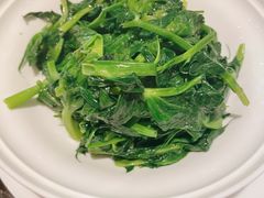 豌豆尖-甄御•海鲜新青岛菜(麦岛店)