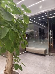 -京世沙龙
