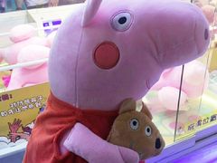 -PAWTOY爪e玩偶店(天兴罗斯福店)