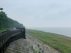 -鄱阳湖国家湿地公园