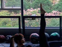 -天行健身＆天行拳馆跆拳道·格斗TXGYM