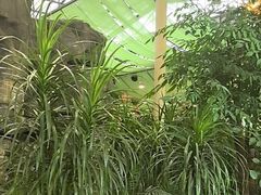 -陶然居·重庆菜(生态园店)