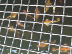 -湖洞水自然风景区