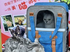 -必胜客(江东万达店)