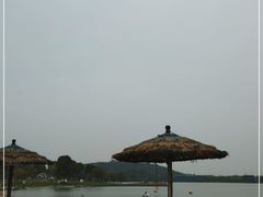 -上海月湖雕塑公园