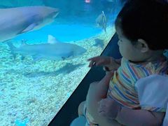 -泉城欧乐堡海洋极地世界