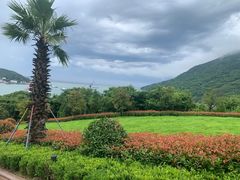 -桃花岛风景旅游区