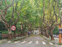 -浙江大学(玉泉校区)