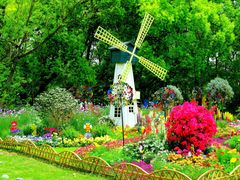 -上海共青森林公园