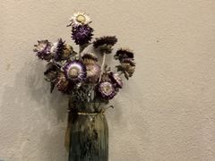 -米兰西点(顺城区政府店)