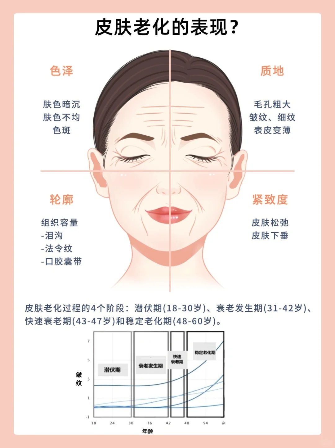 皮肤衰老过程示意图图片