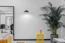 -T8 SALON