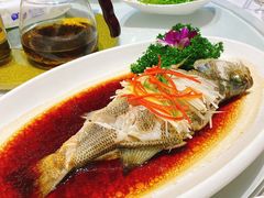 清蒸鲈鱼-小贝壳酒楼(经九路店)