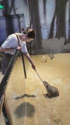 -酷嗒动物文化乐园(cutezoo西溪乐天城店)