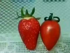 -红星电影世界开元地中海店(RealD杜比全景声)