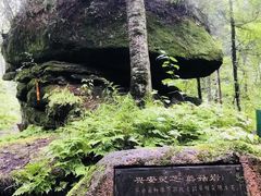 -汤旺河林海奇石景区