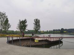 -东郊湿地公园