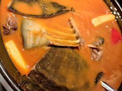 红煨甲鱼汤-潇湘甲鱼村(清河店)