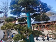 -径山寺