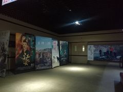 -华美国际影城(旧宫永辉店)