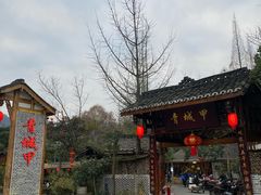 -青城甲(青城山店)