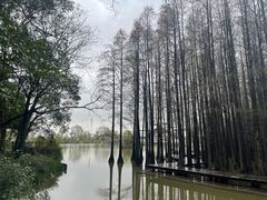 -采石矶景区