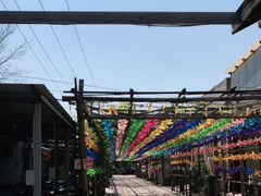 -亲兄弟真人CS团建拓展基地