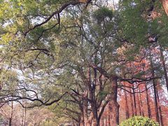 -食膳公园包子铺(烈士公园店)