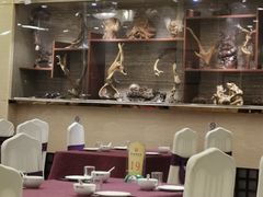 大堂-燕春楼(海河华鼎店)