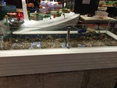 -台北A+A七喜饭店(德增街店)