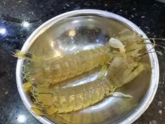 -汤响自助回转火锅百汇(乐峰广场店)