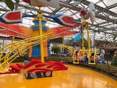 -南宫五洲植物乐园