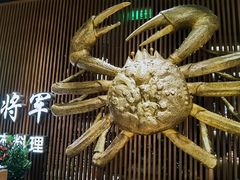 门面-蟹将军·松叶蟹和牛日料放题自助(K11店)