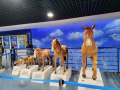 -吉林省自然博物馆