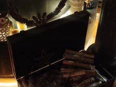-雪灵魔法世界SHELLY’S TAROT(大良桂畔里店)
