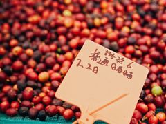 -Torch Coffee 炬点咖啡