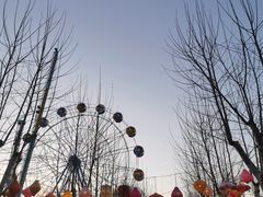 -北戴河集发农业梦想王国