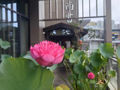 -道南書院·私房菜·早午茶·茶馆