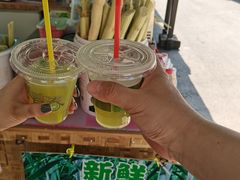 -西双版纳傣族园