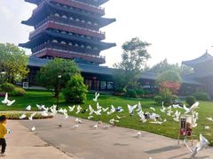 -祥源·阜阳生态乐园