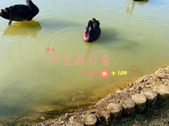 -祥源·阜阳生态乐园