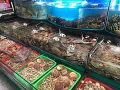 -望海潮海鲜店 特色家常菜(在海一方店)