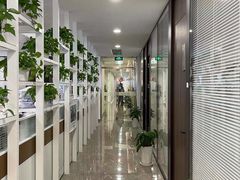 -谢冬律师团队·专注离婚案件·君澜律所