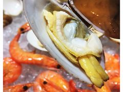 -海口万豪中餐厅·粤菜·海南菜· 平价海鲜·茶点· KTV包房