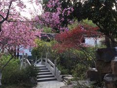 -荆川公园