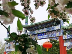 -陶然亭公园